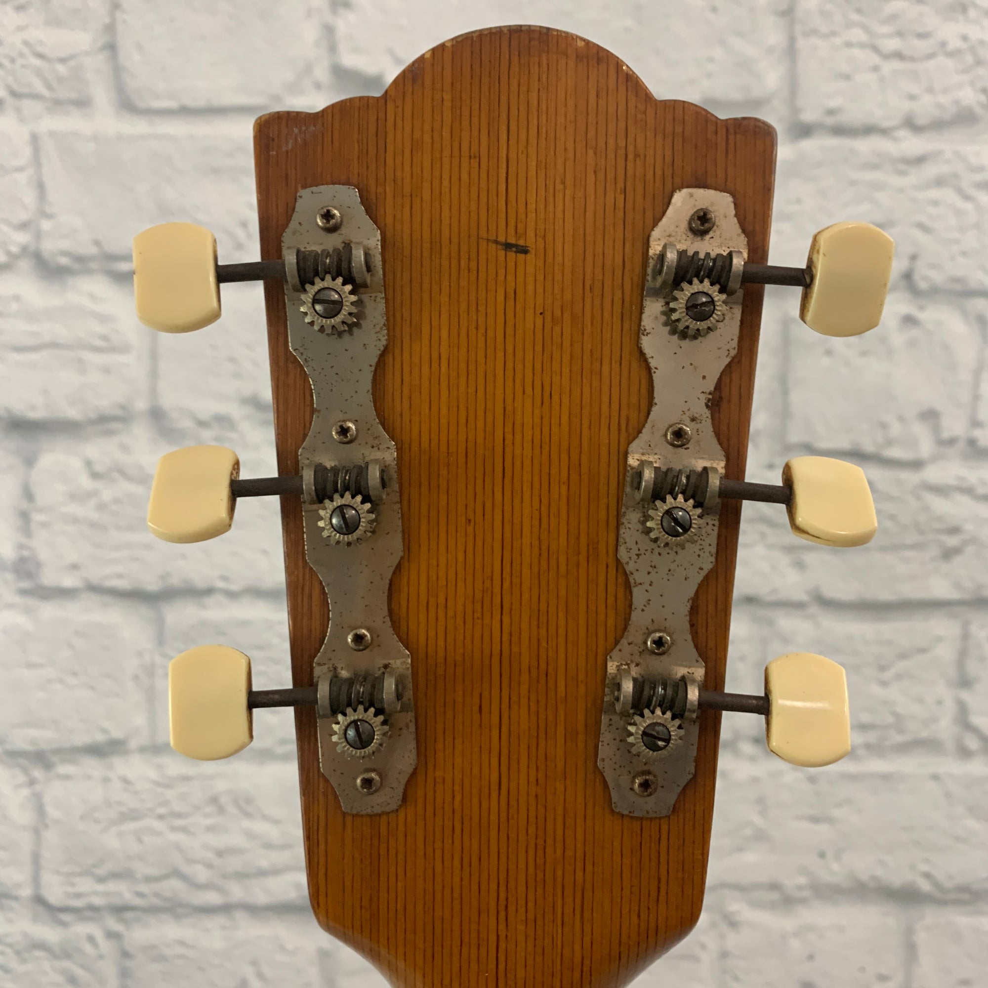 Framus Texan / フラマス テキサン Framus Texan Acoustic Guitar - Evolution Music