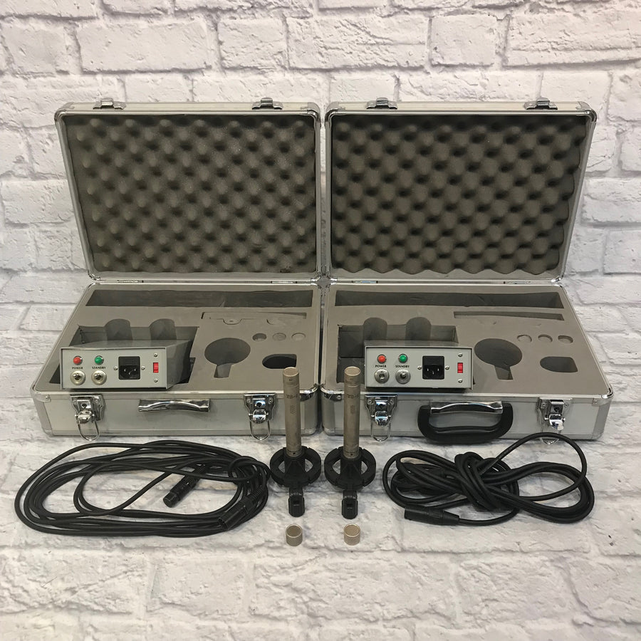 Chameleon Labs TS-1 Tube Mic Pair with 2 capsules