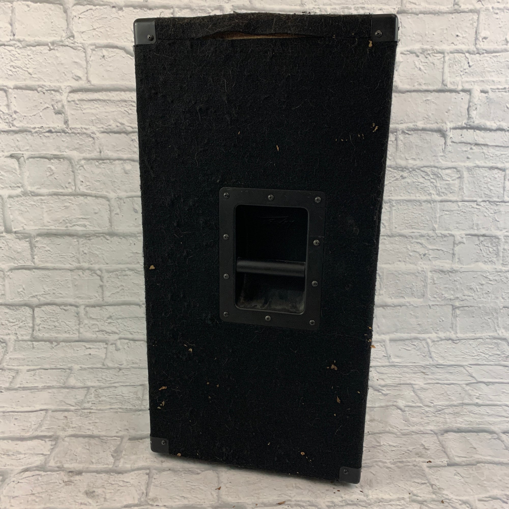 Peavey PV112 Passive Speaker