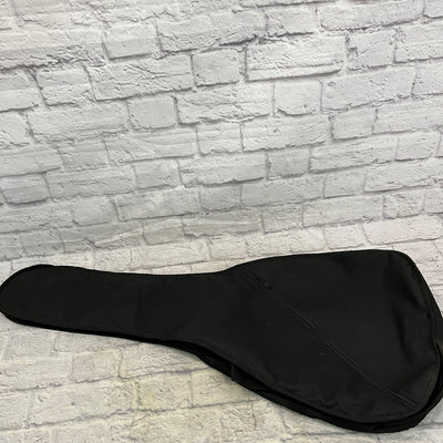 Unknown Acoustic Gig Bag