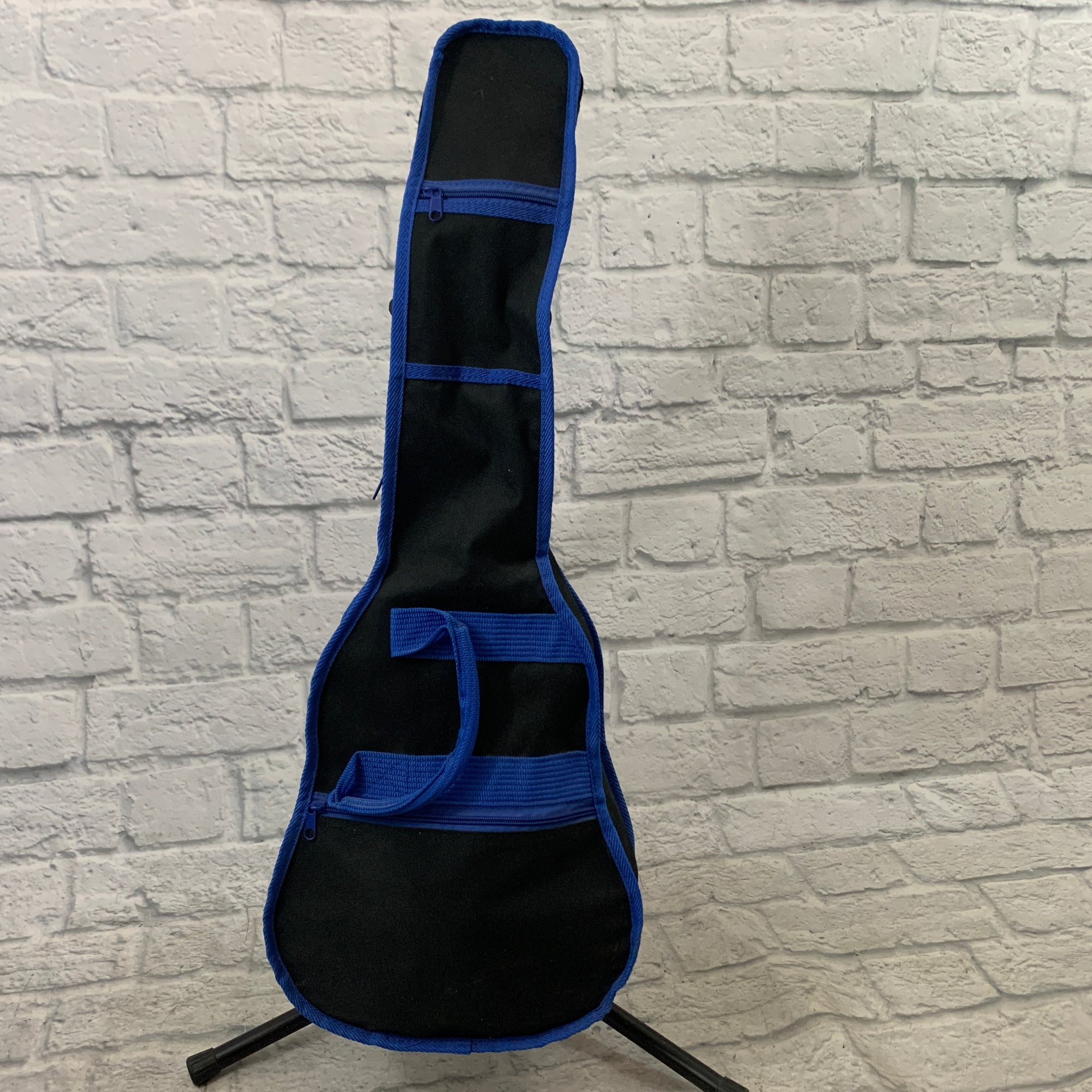 Play & Learn Mini Acoustic Guitar w/ Gig Bag