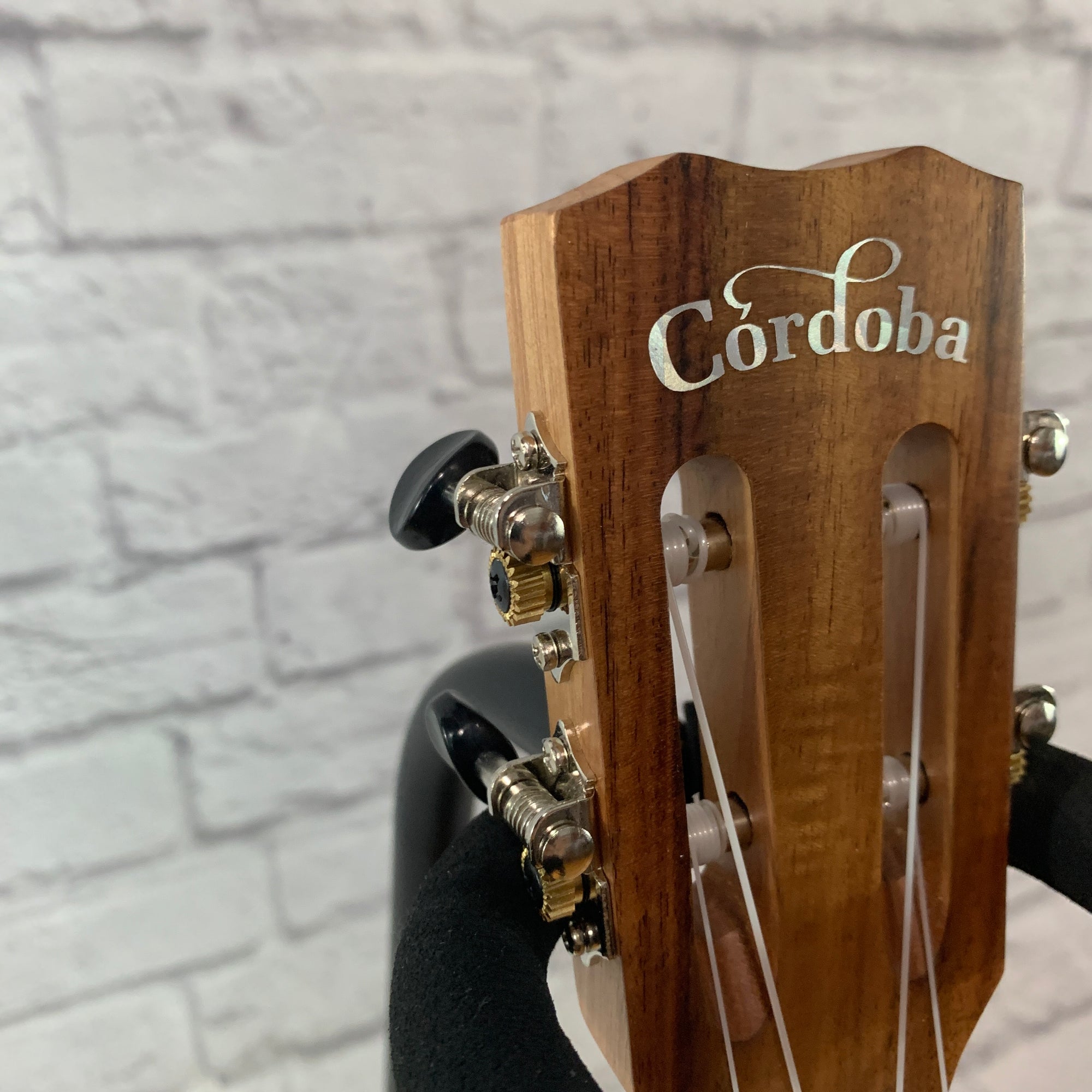 Cordoba 28T-CE Tenor Ukulele