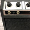 Vintage 1960's Silvertone 10XL Combo Guitar Amp
