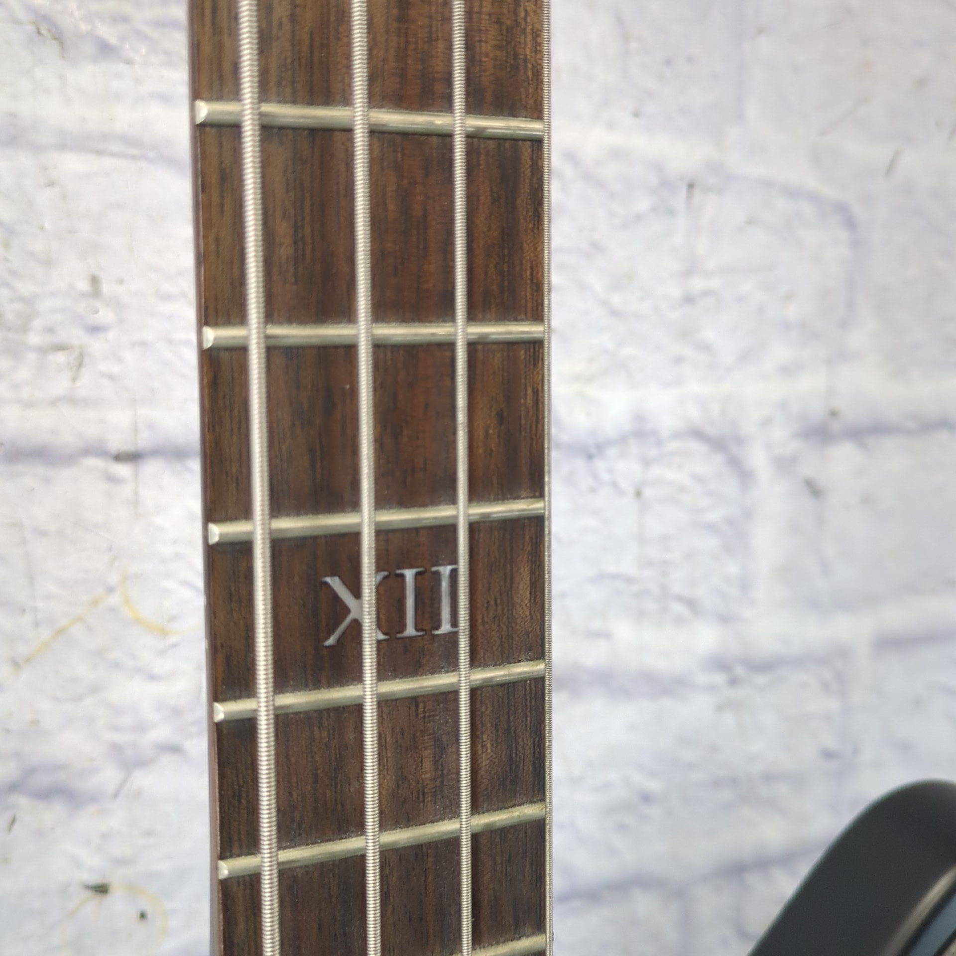 Epiphone Thunderbird IV Goth 4 String Bass Guitar