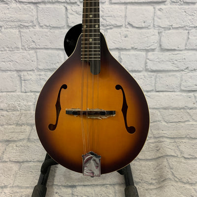 Recording King RAM-3-TS Mandolin