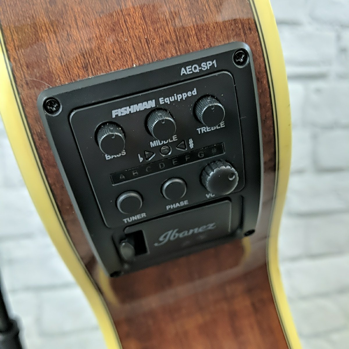 Ibanez AEG12IINT AE Series Acoustic Electric Guitar