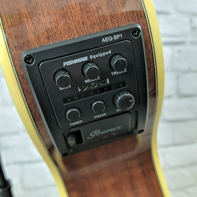 Ibanez aeg12iint on sale