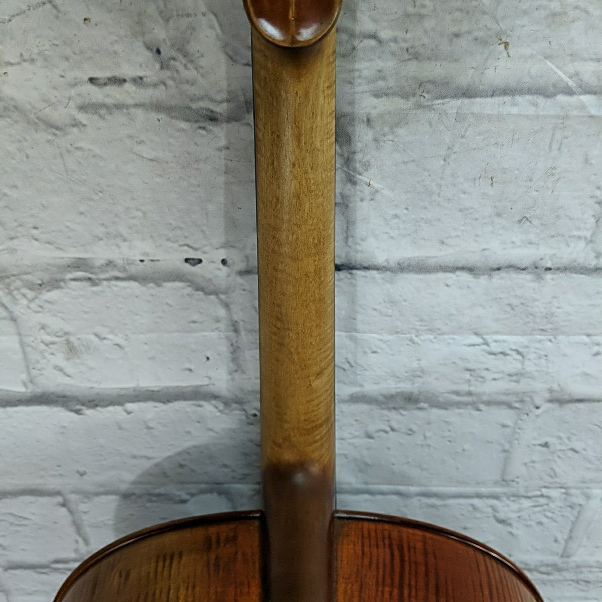 Franz Hoffman 4/4 Concert Cello with Bag and Bows