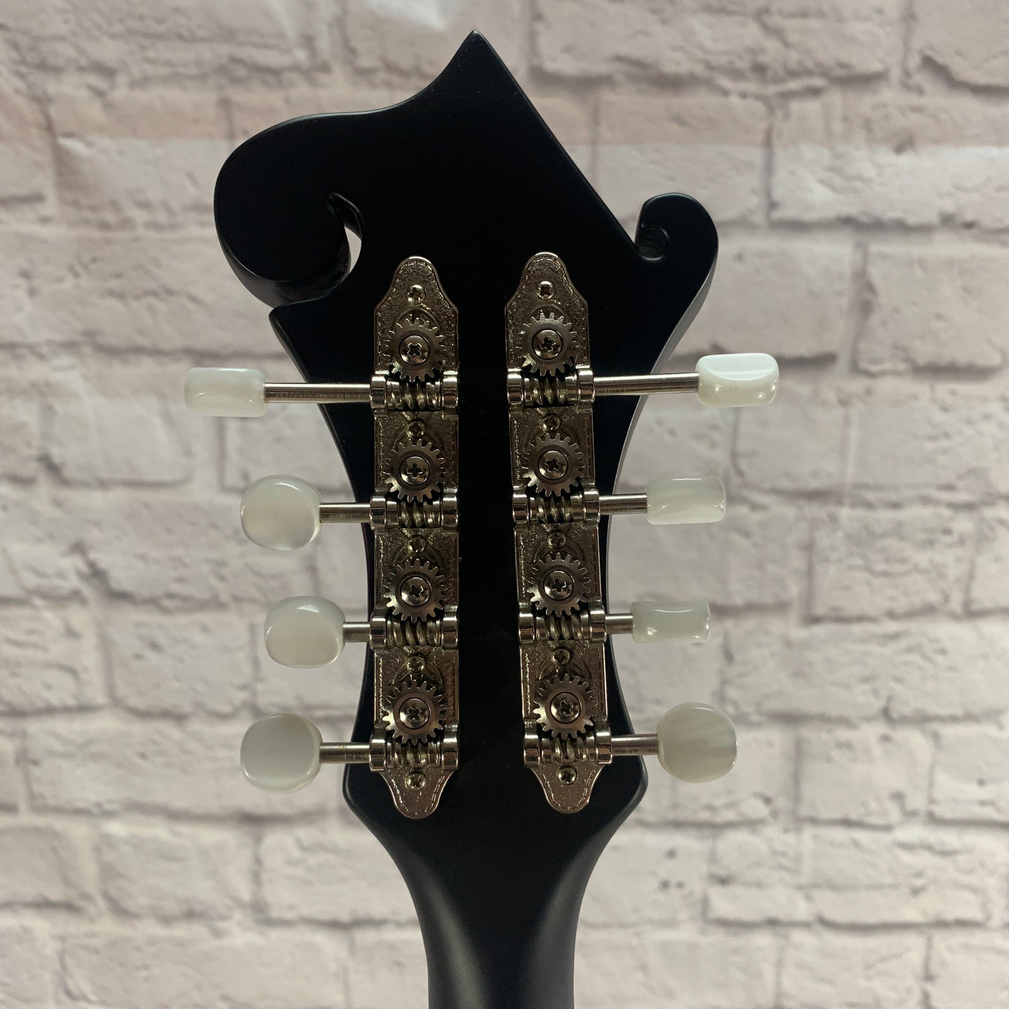 The Loar Mandolin Lm310f BRB