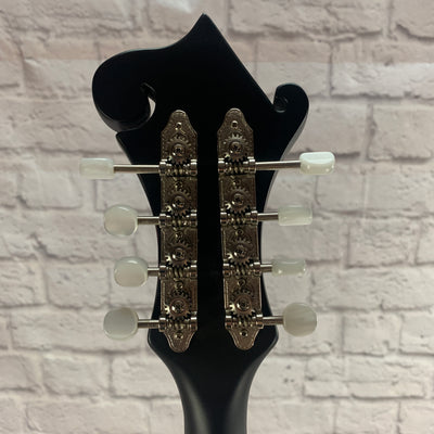 The Loar Mandolin Lm310f BRB