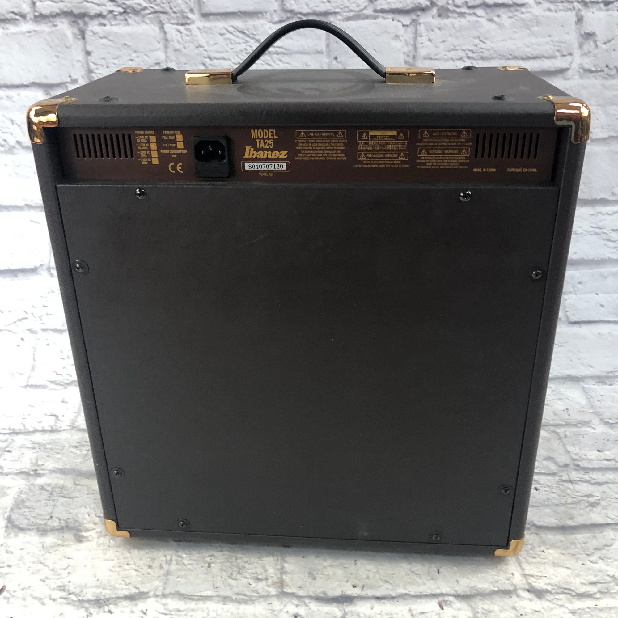 Ibanez Troubadour Acoustic Guitar Amp