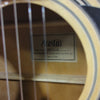 Austin AU 3 Acoustic Guitar