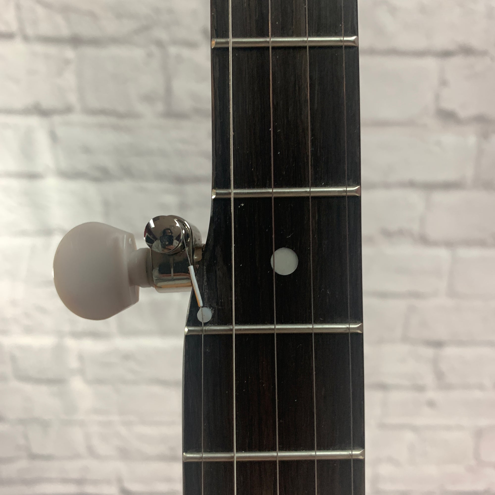 Recording King RKOH-06 Banjo