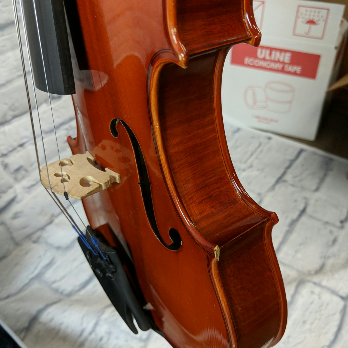 Eastman Strings S. Lenbach 15'' Viola Outfit with case/bow - 13361343