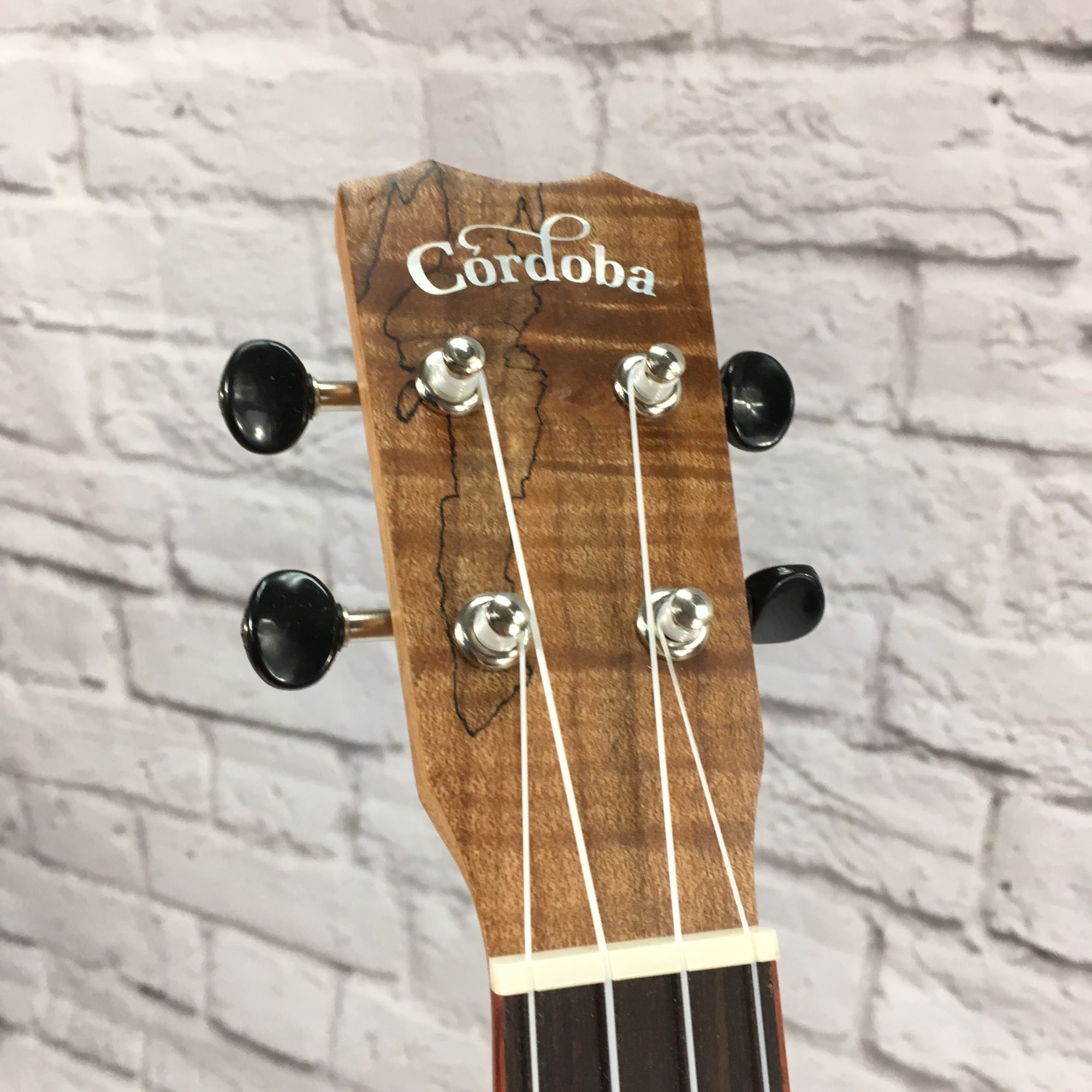 Cordoba 24T Tenor Ukulele