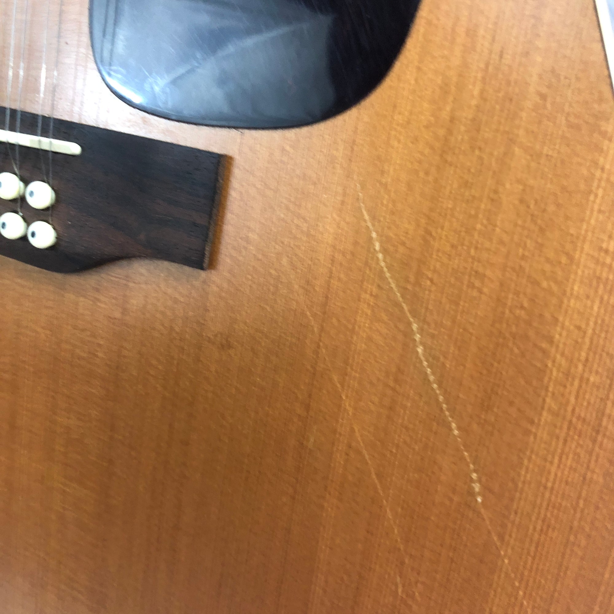 Seagull Coastline S12 Cedar 29358 12-String Acoustic Guitar