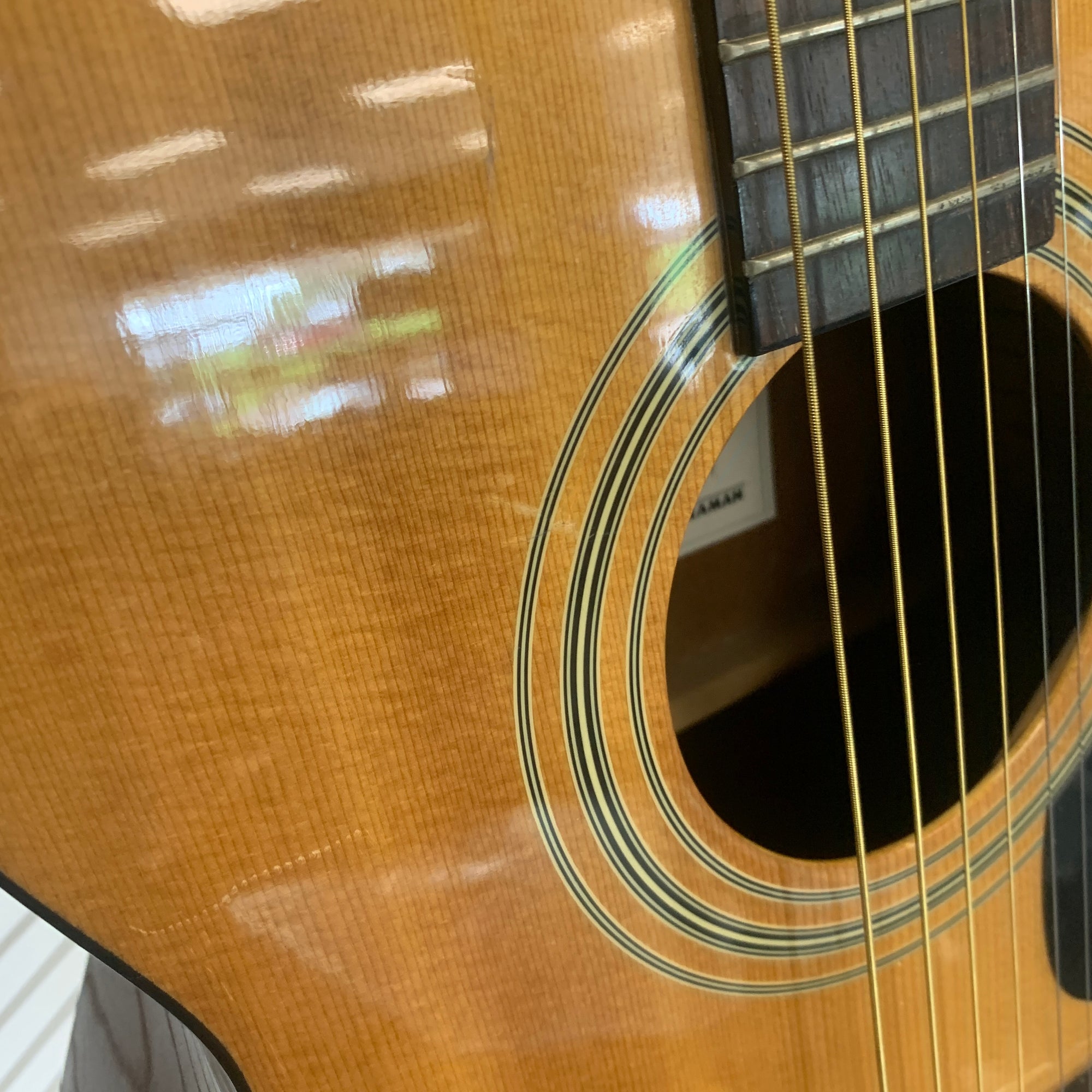Montana M17-4 Acoustic Guitar - Natural
