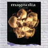 Magnolia (Music from the Motion Picture): Piano/Vocal/Chords