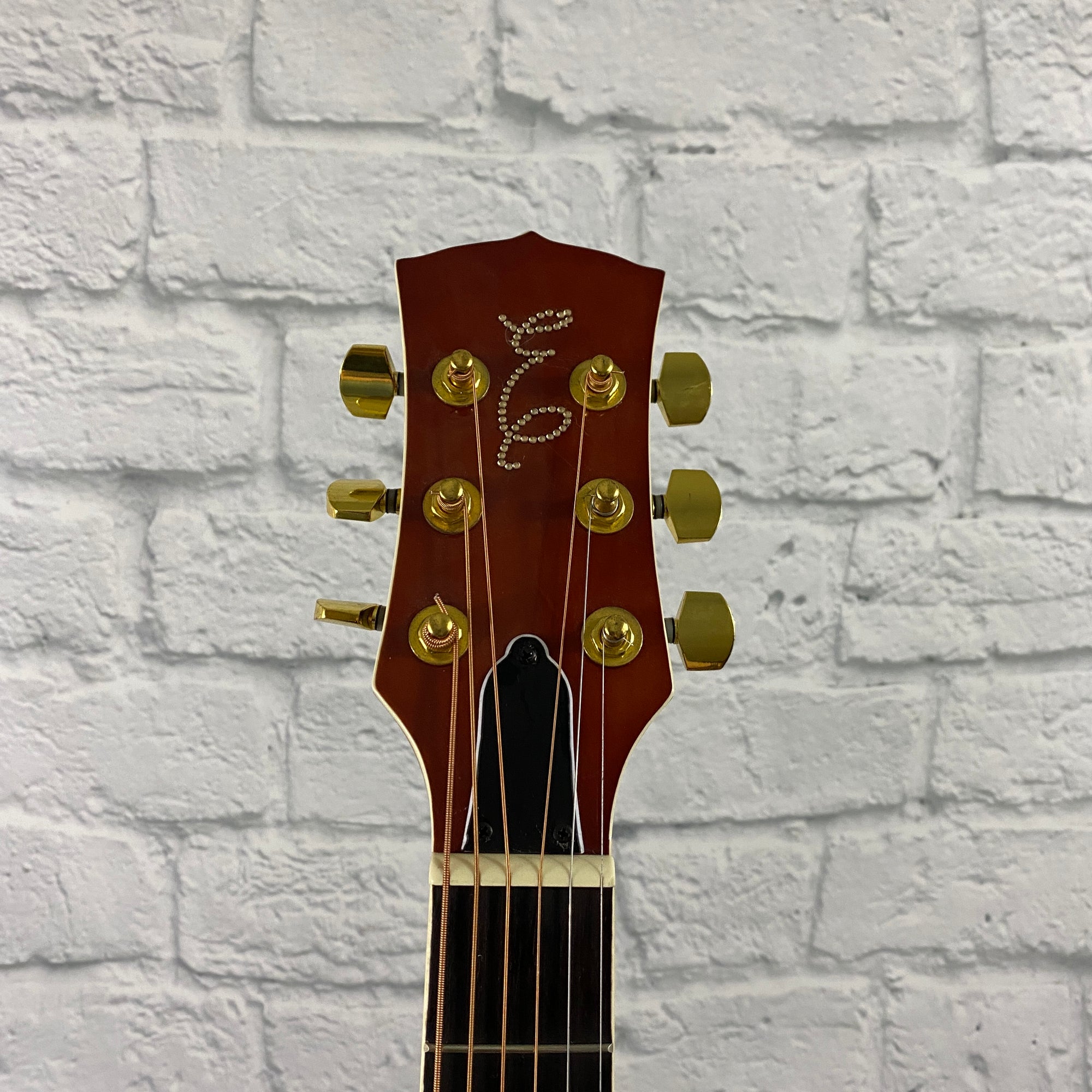Esteban Amber Joe Acoustic Guitar