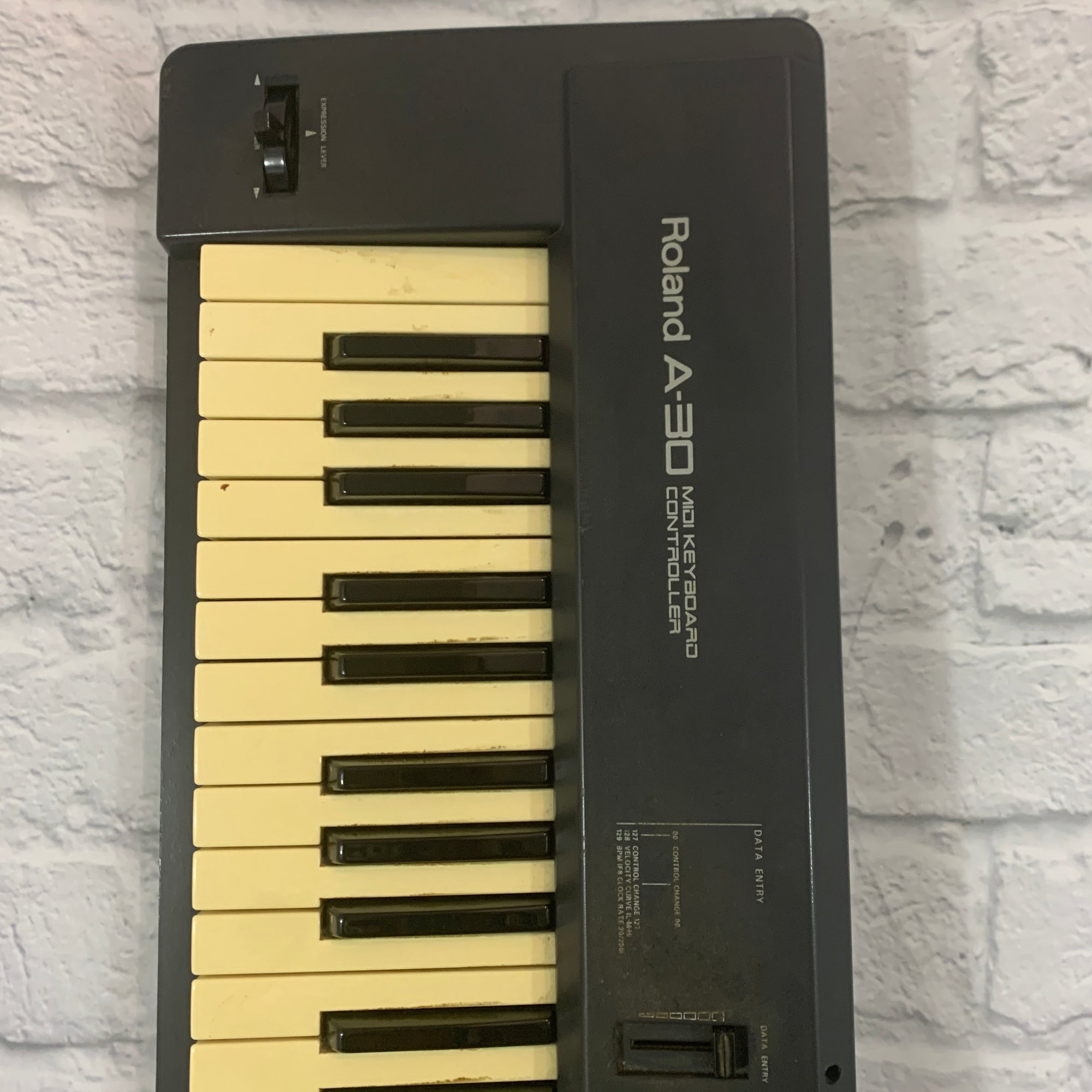 Roland A-30 76 Key MIDI Controller