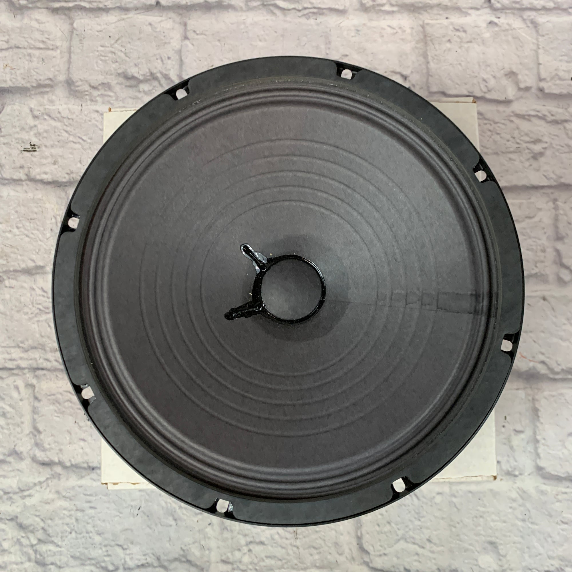 Eminence 10 inch 8 Ohm Speaker
