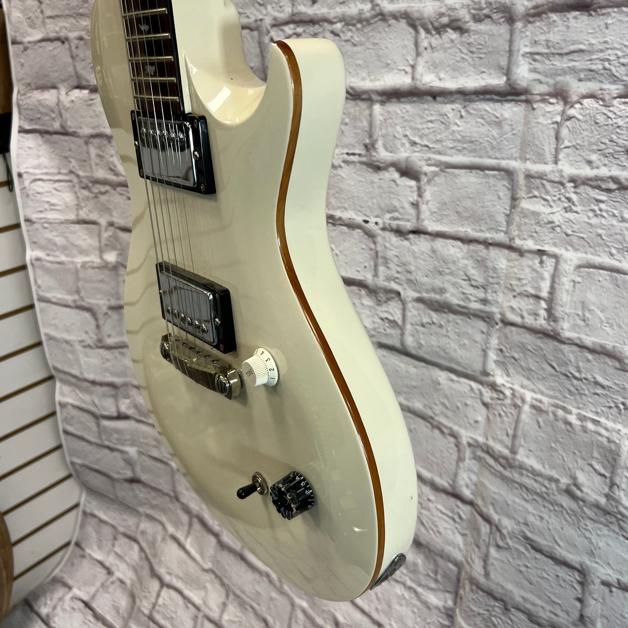 Paul Reed Smith(PRS) SE Singlecut 美品 Paul Reed Smith SE Custom and SE Singlecut Electric Guitars