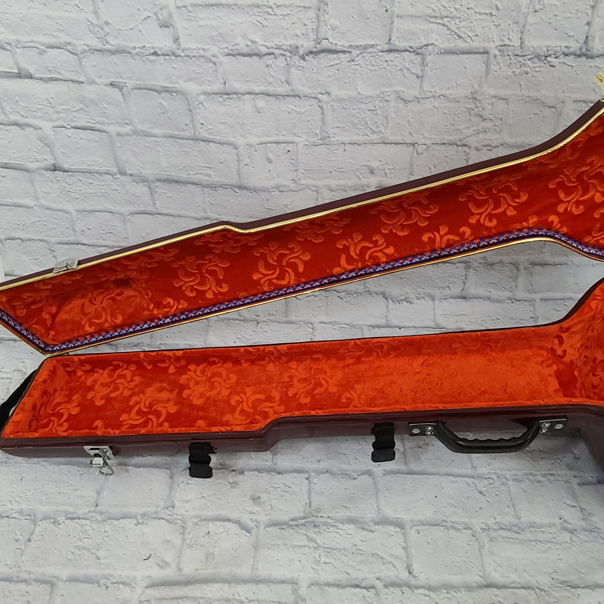 Unknown Sitar Fiber Glass Travel Case