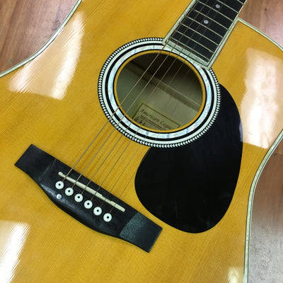 Esteban AL-100 Acoustic Guitar