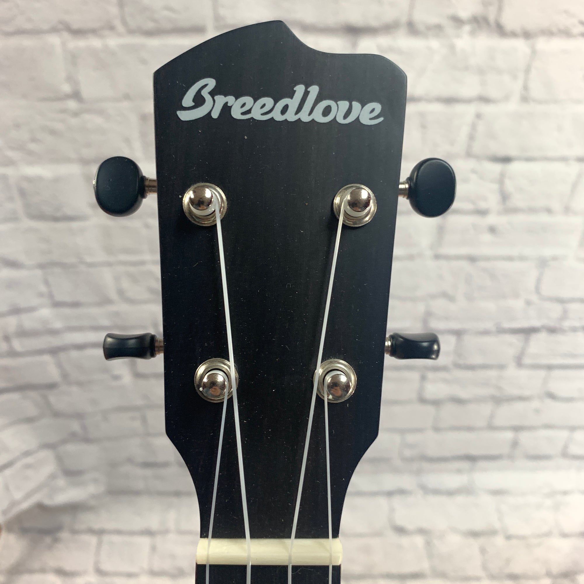 Breedlove Ex CU S Concert Ukulele