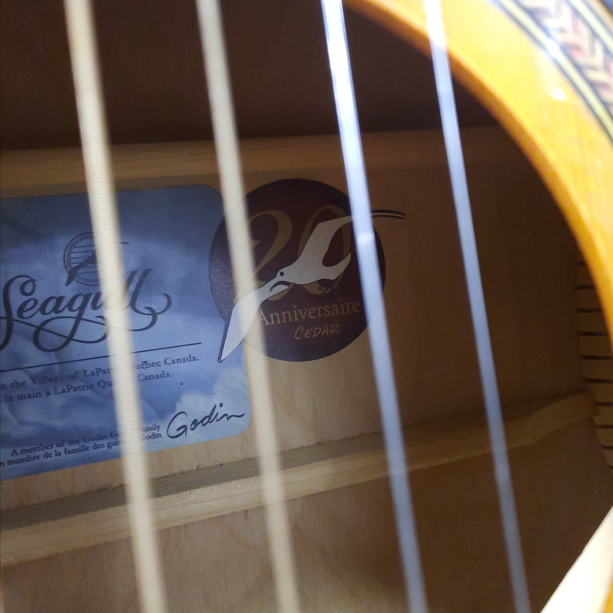 Seagull シーガル 20th Anniversary Cedar 2002 Seagull シーガル 20th Anniversary Cedar 2002 - メルカリ