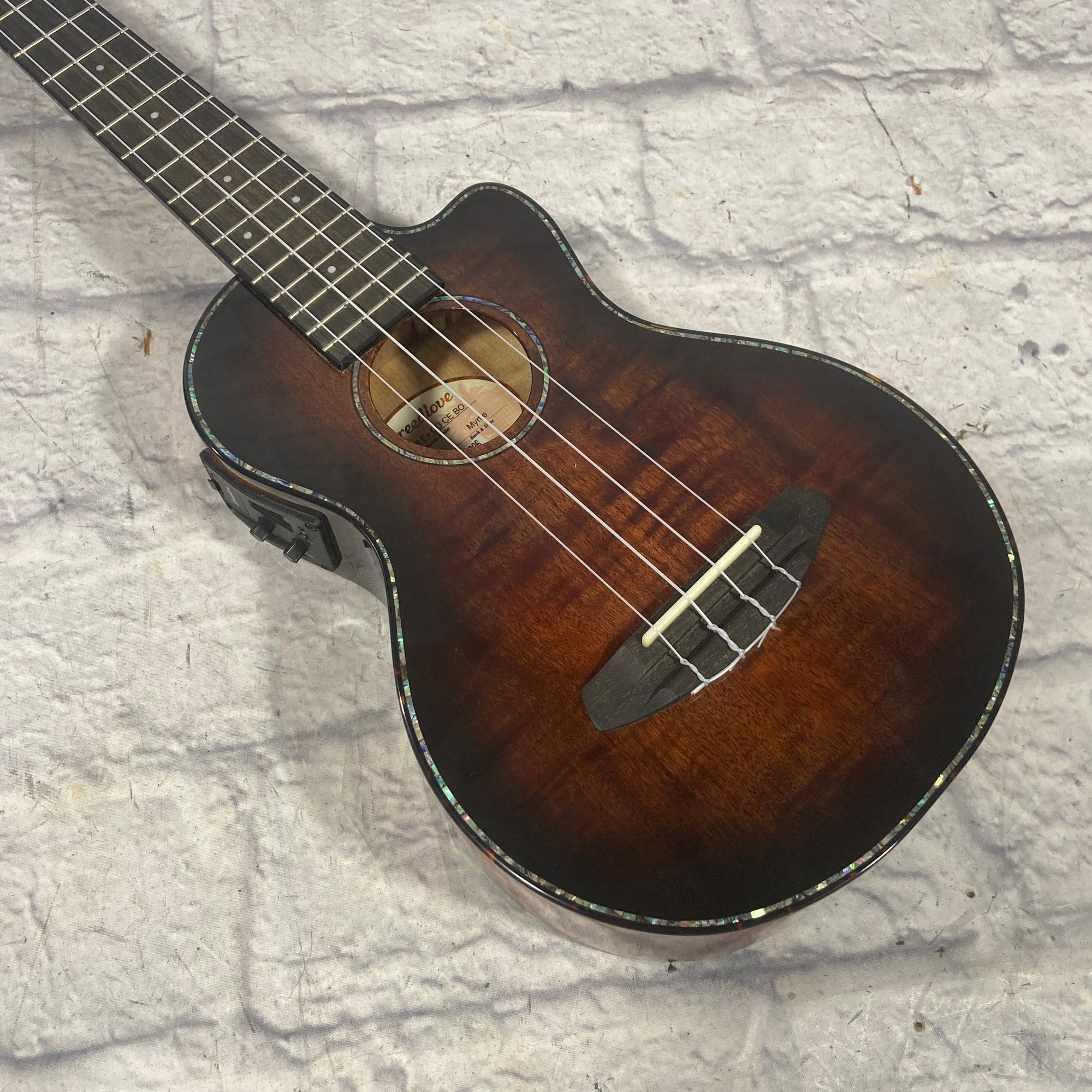 Breedlove Pursuit Ex CU CE BO