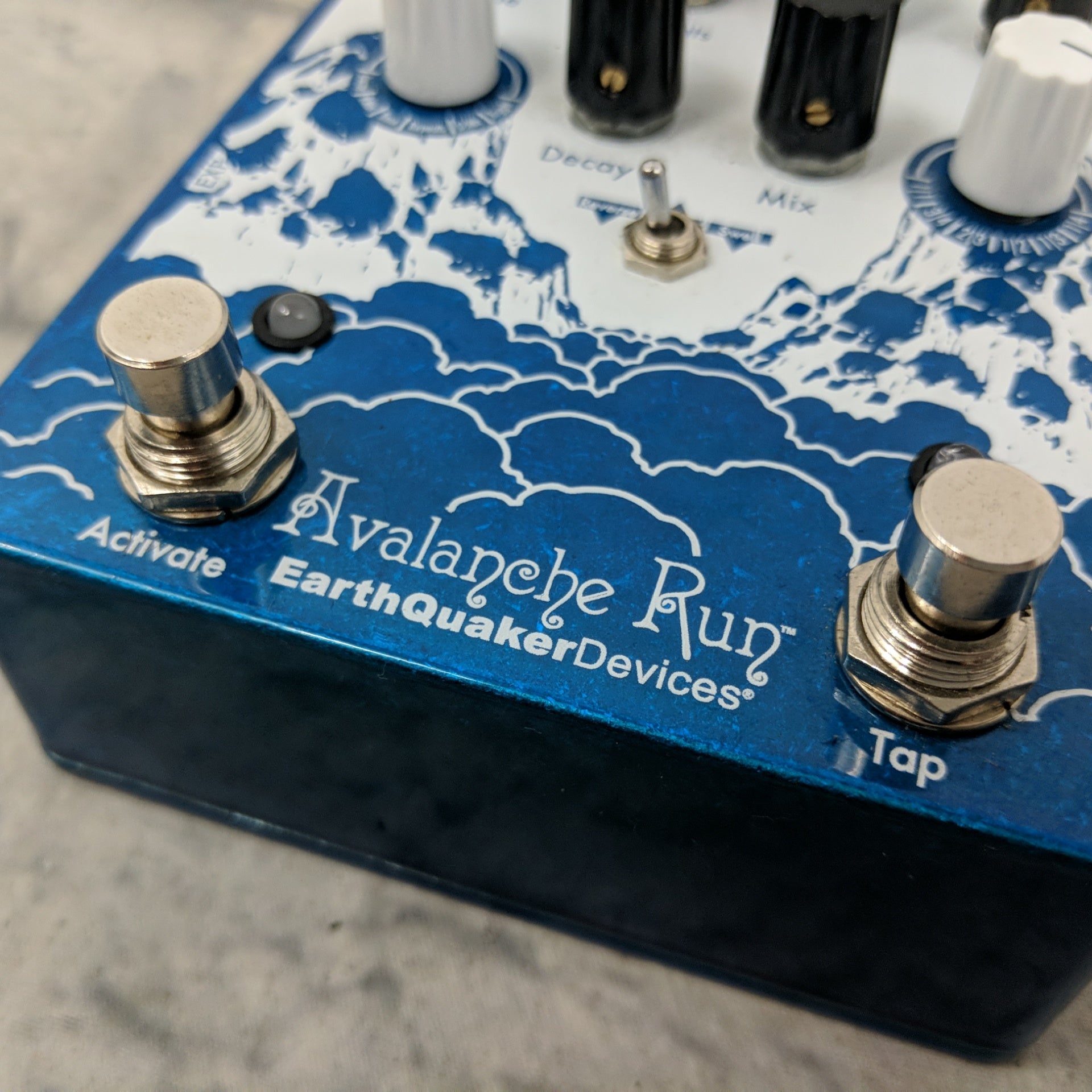 EarthQuaker Devices Avalanche Run Stero Delay and Reverb