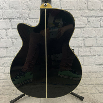 Ibanez AEG10E Concert Acoustic