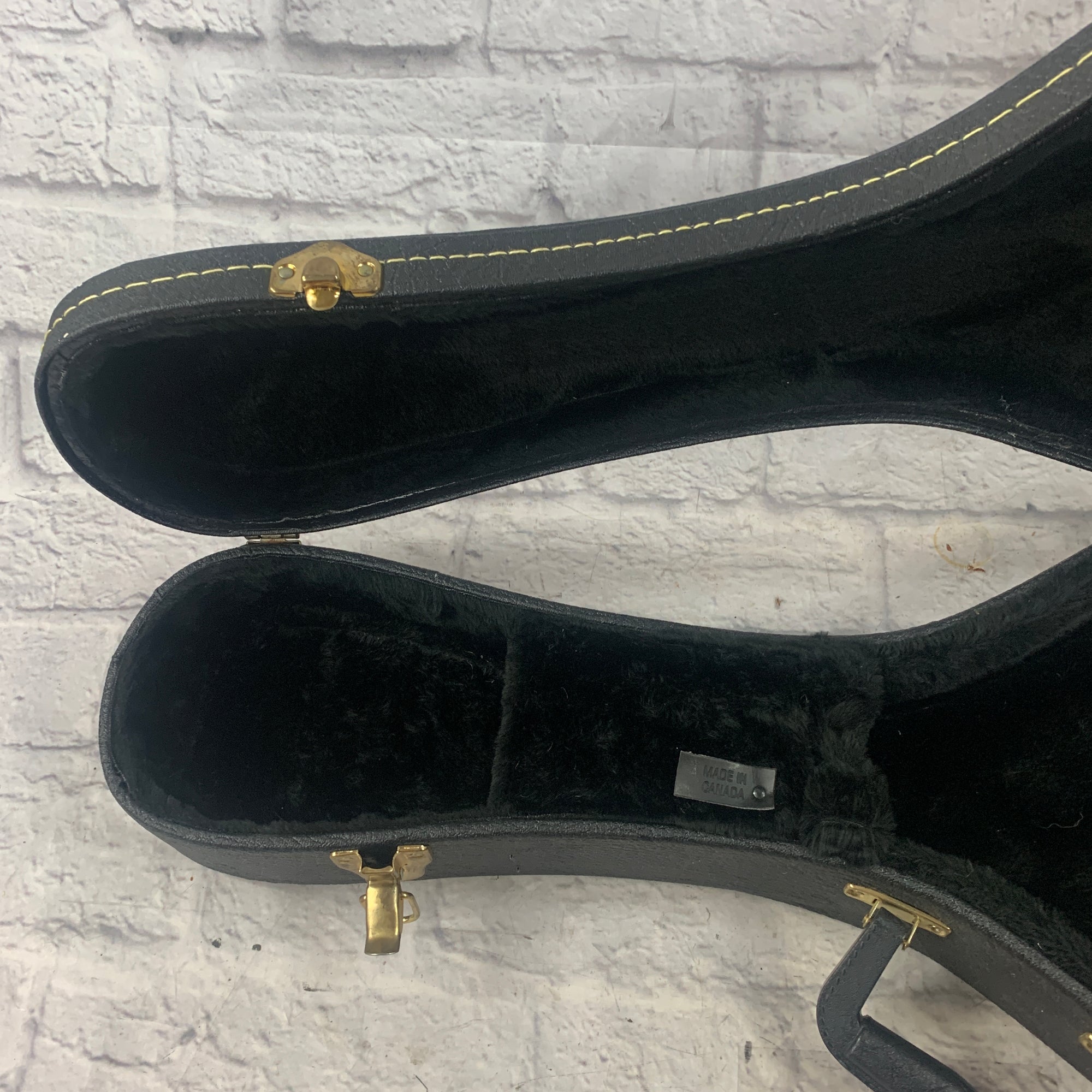 Unknown Mandolin Hardshell Case