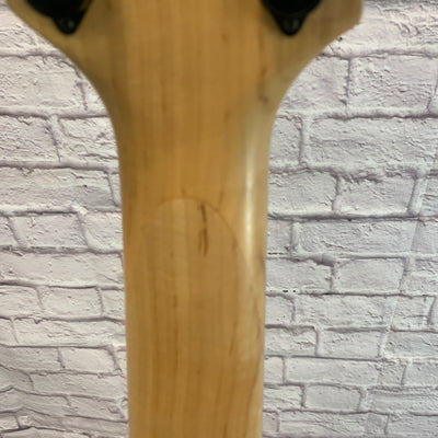 Unknown 6 String Fretless 5 String Bass Guitar