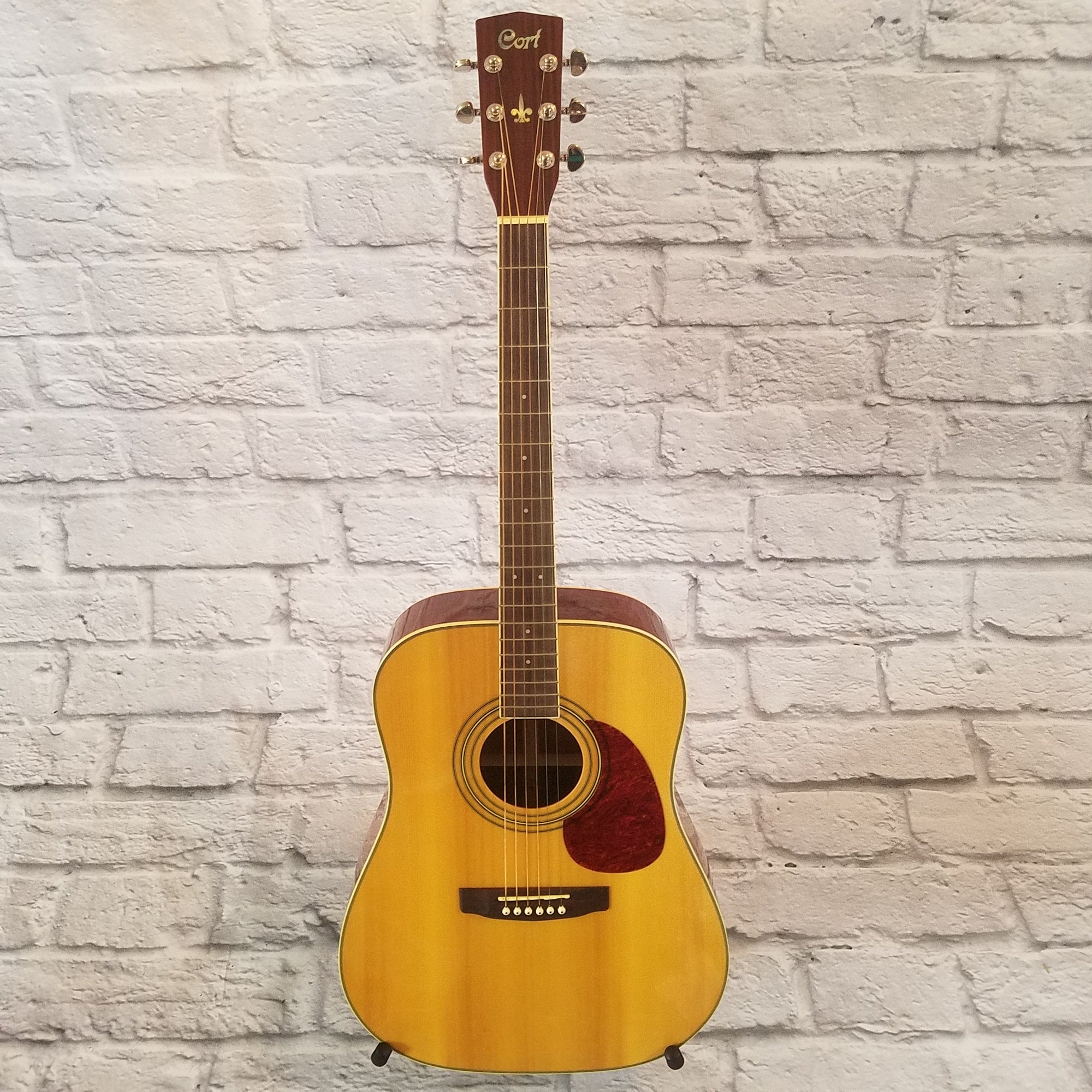 Cort Earth-190 Acoustic Guitar