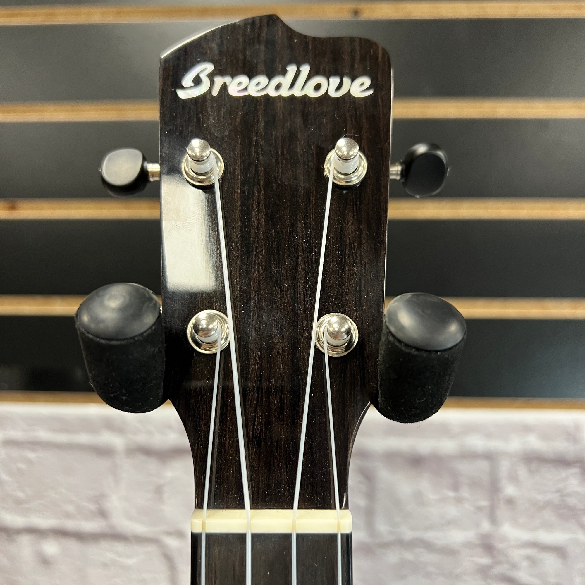 Breedlove Pursuit Ex CU CE BO Ukuleles