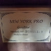 New York Pro NYDG302C (b)/n Acoustic Electric Concert