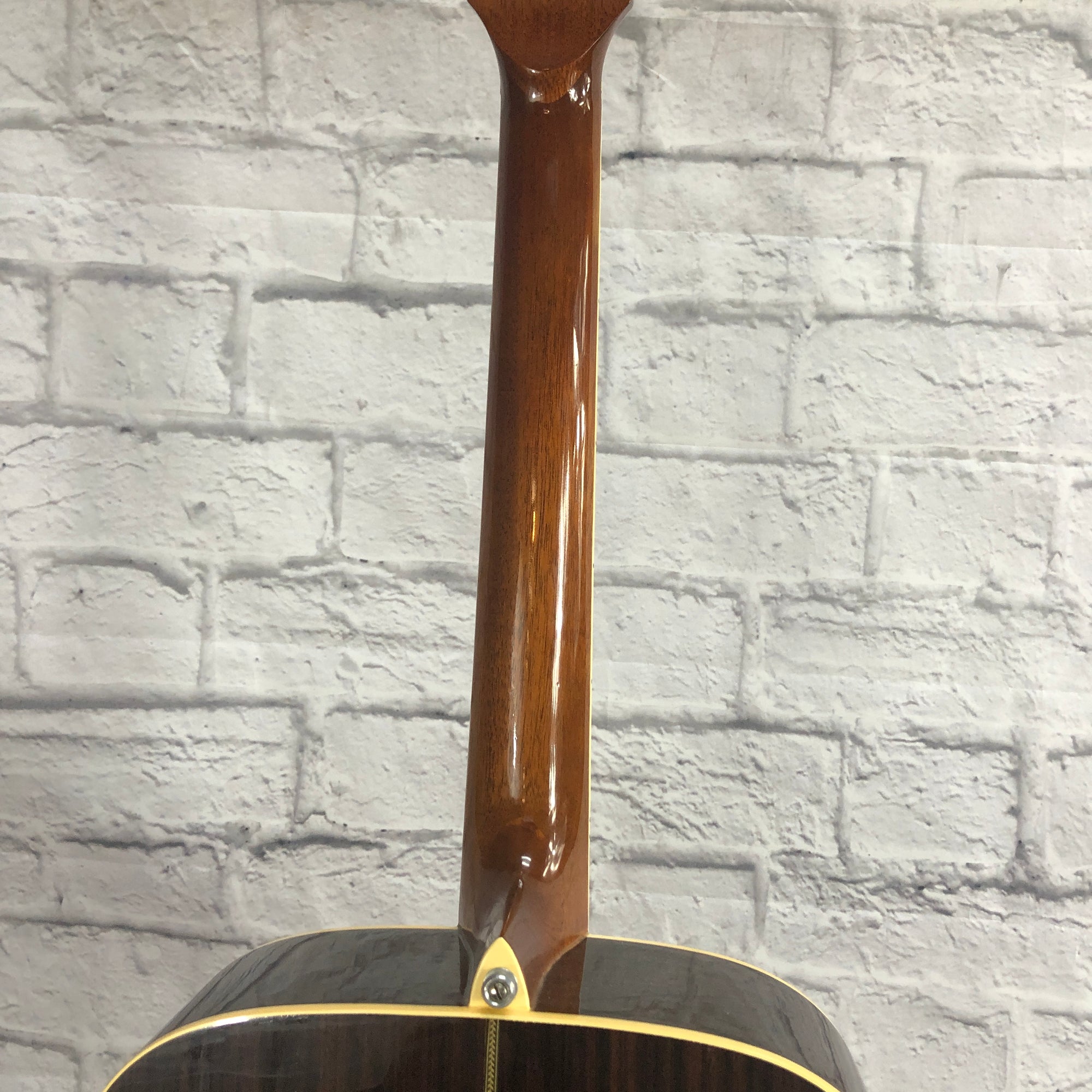 Ibanez PF50 Dreadnaught Acoustic Guitar