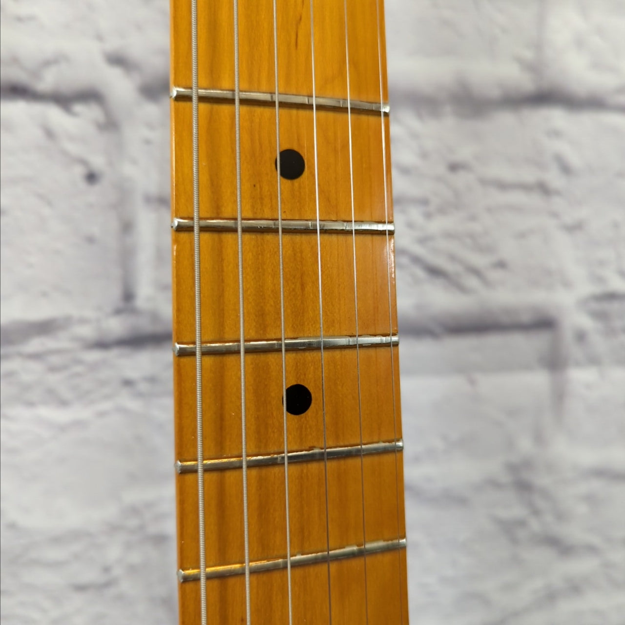 Reverend Buckshot with Les Trem Electric Guitar