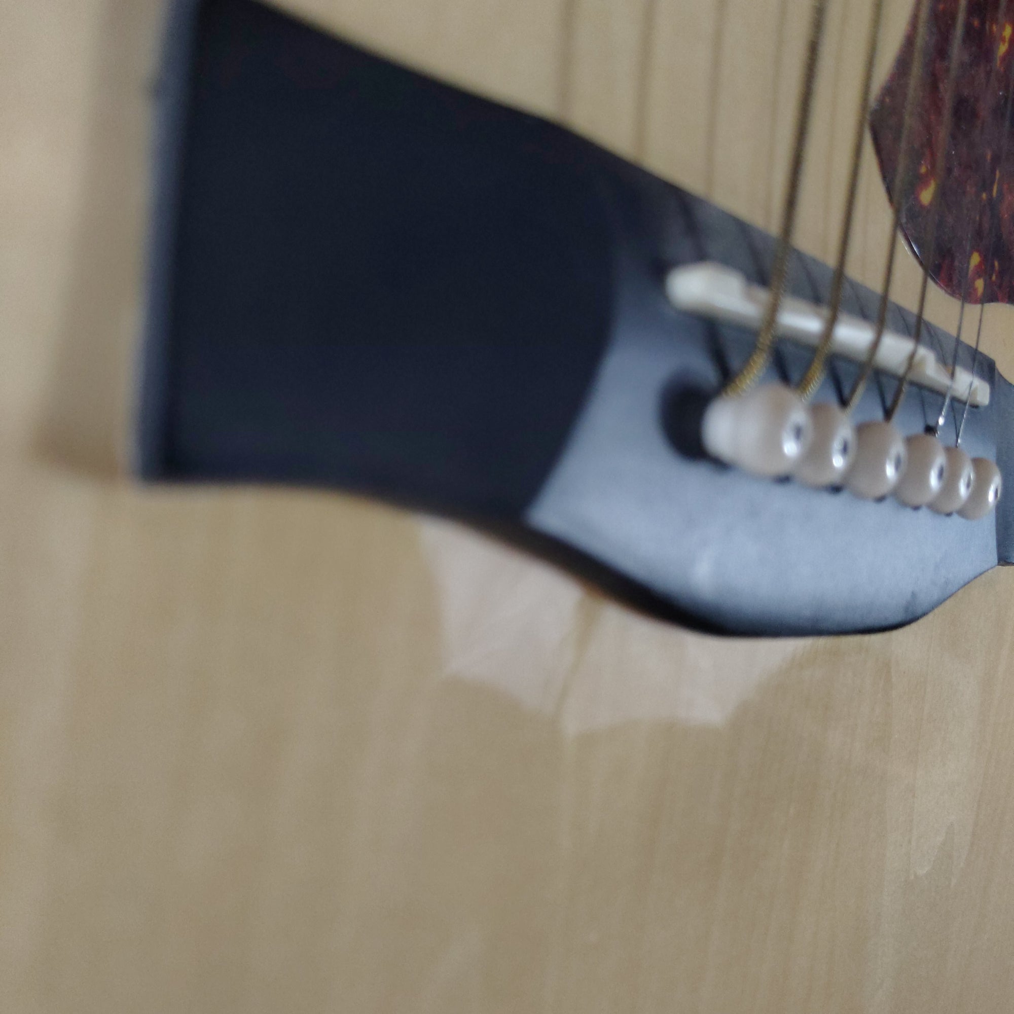 The Delta D-42/N Acoustic Guitar