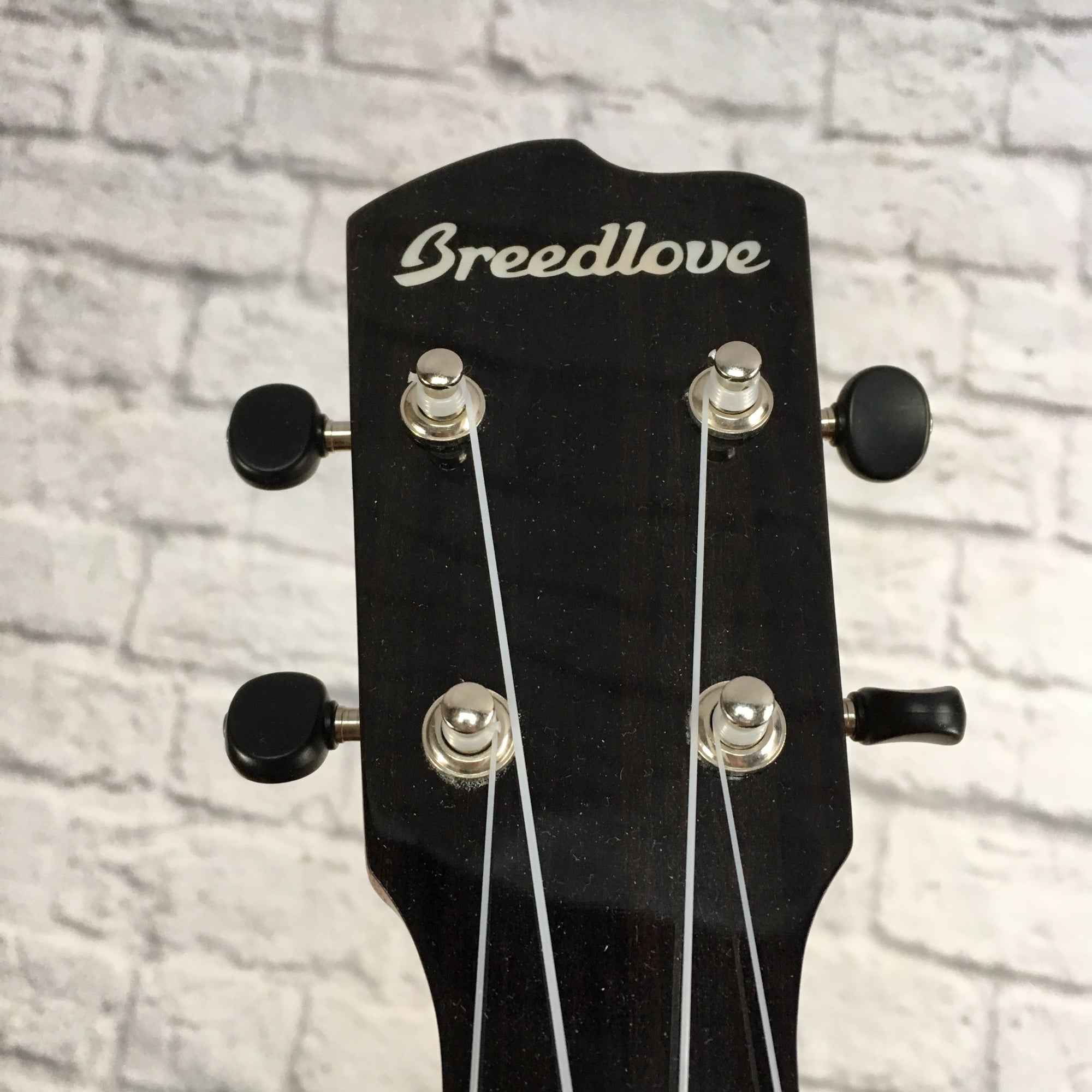 Breedlove Ex Cu Ce Bo Concert Ukulele