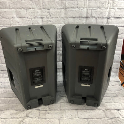 Peavey PR15 Speaker Pair