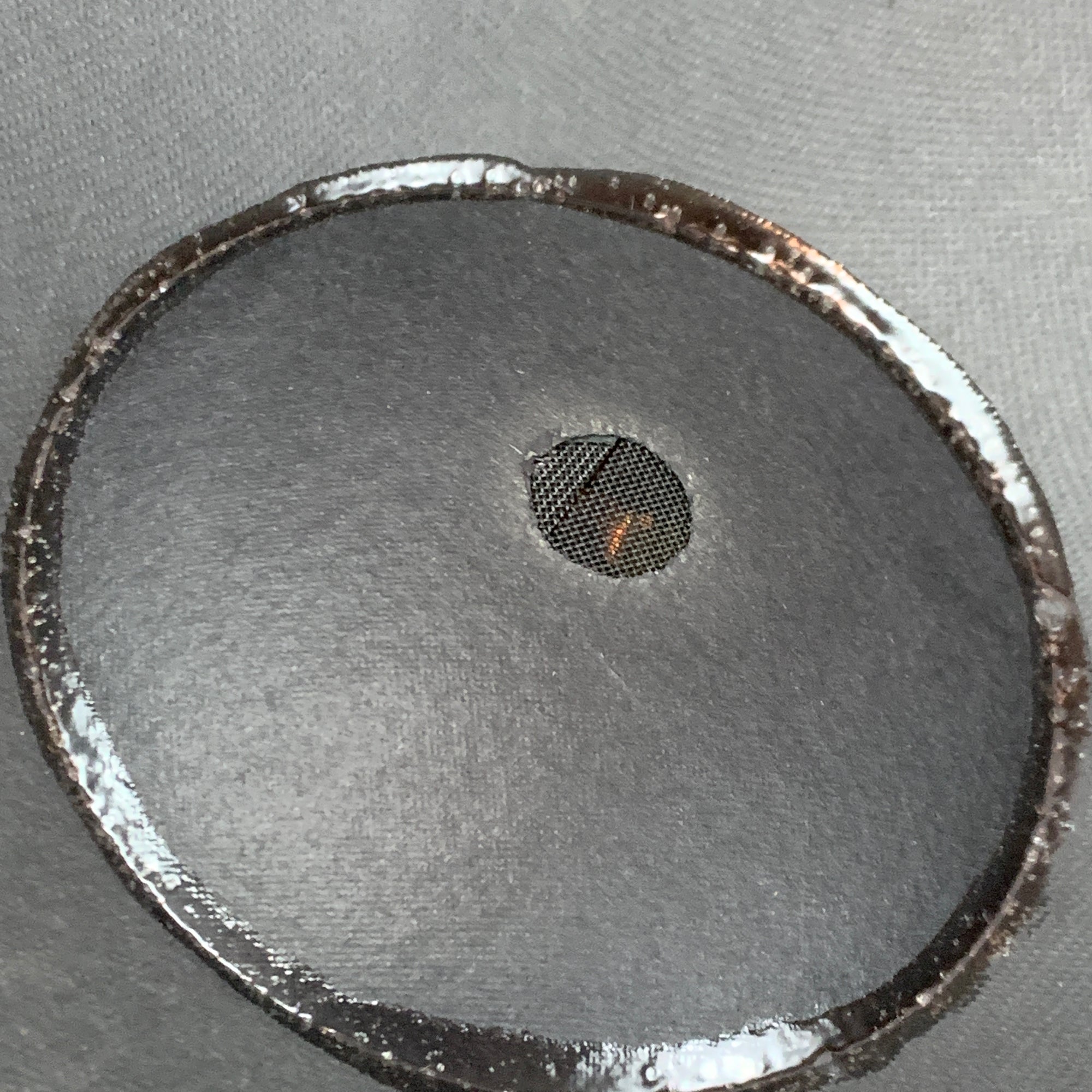 Electro-Voice Force 15 Speaker