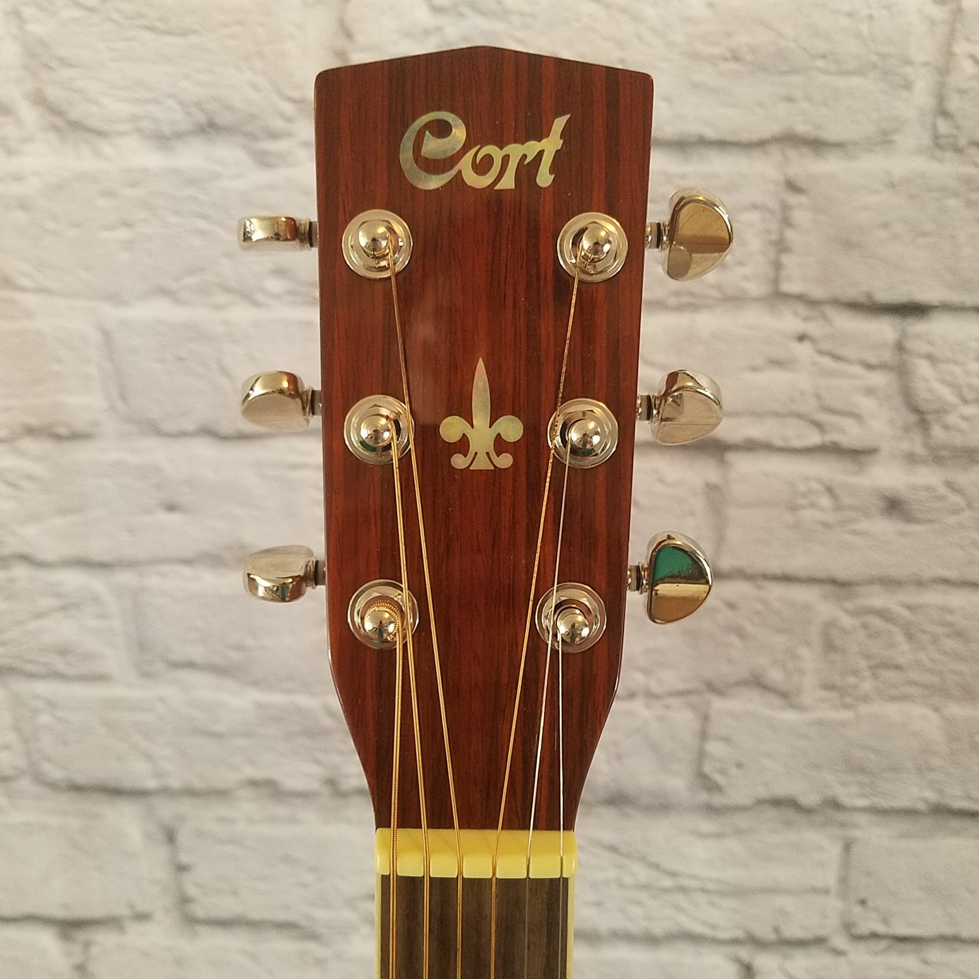 Cort Earth-190 Acoustic Guitar