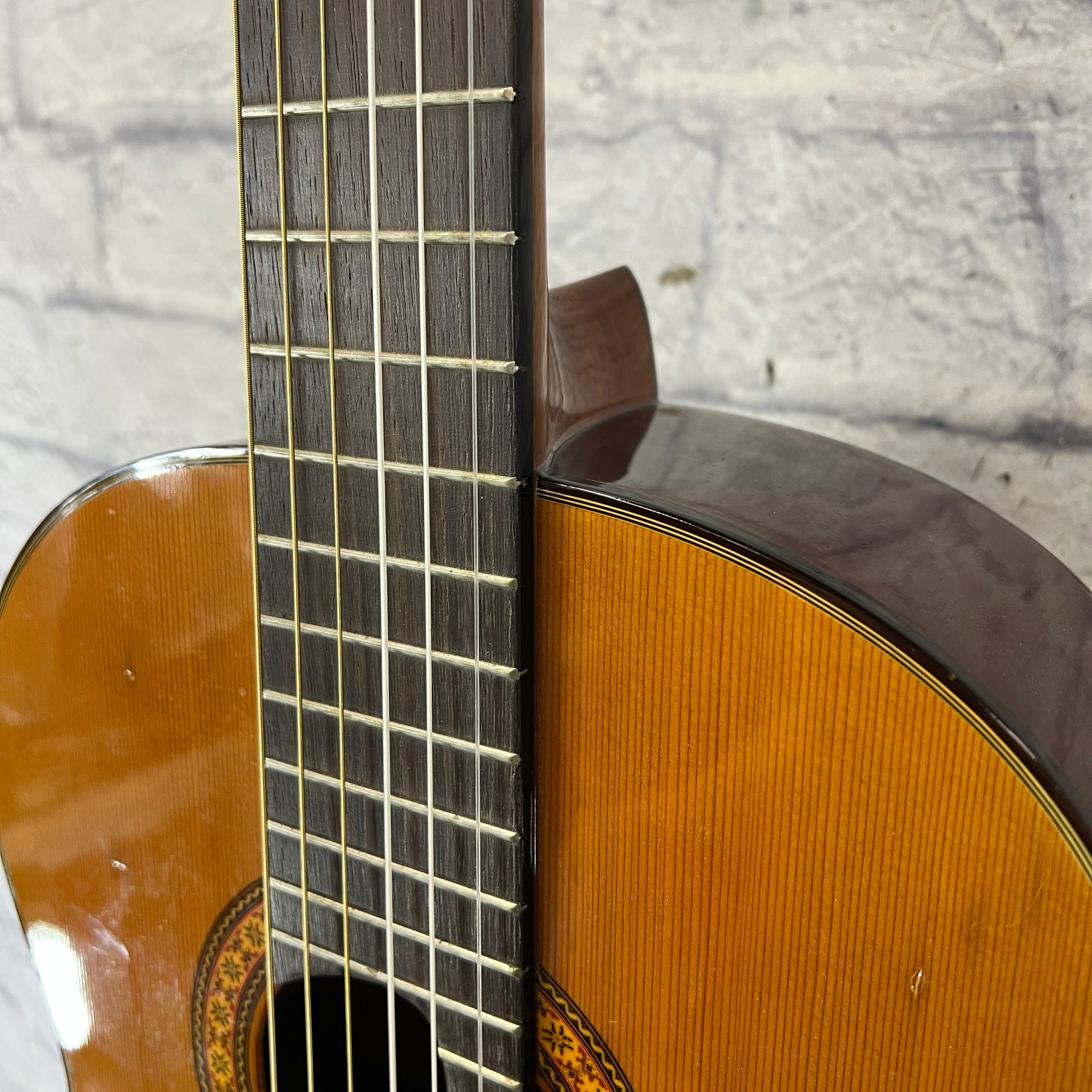 Washburn C30 Classical Acoustic Guitar Evolution Music