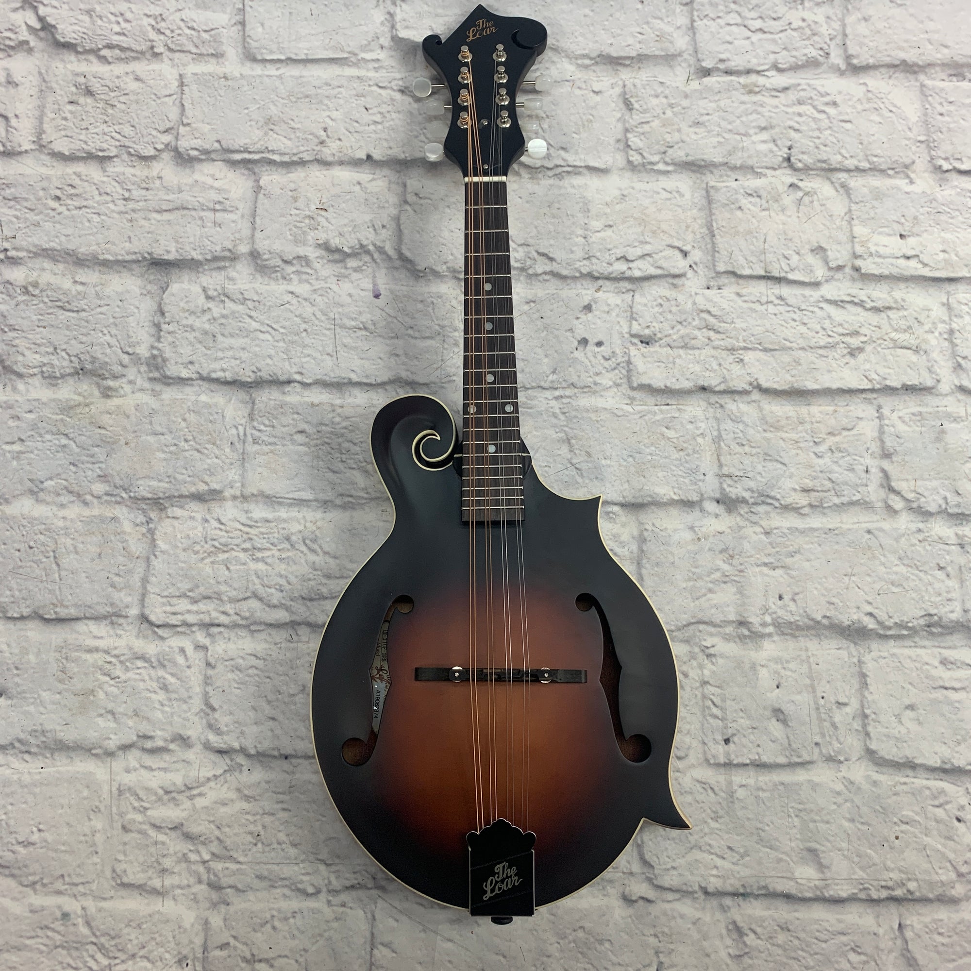 The Loar Mandolin Lm310f BRB