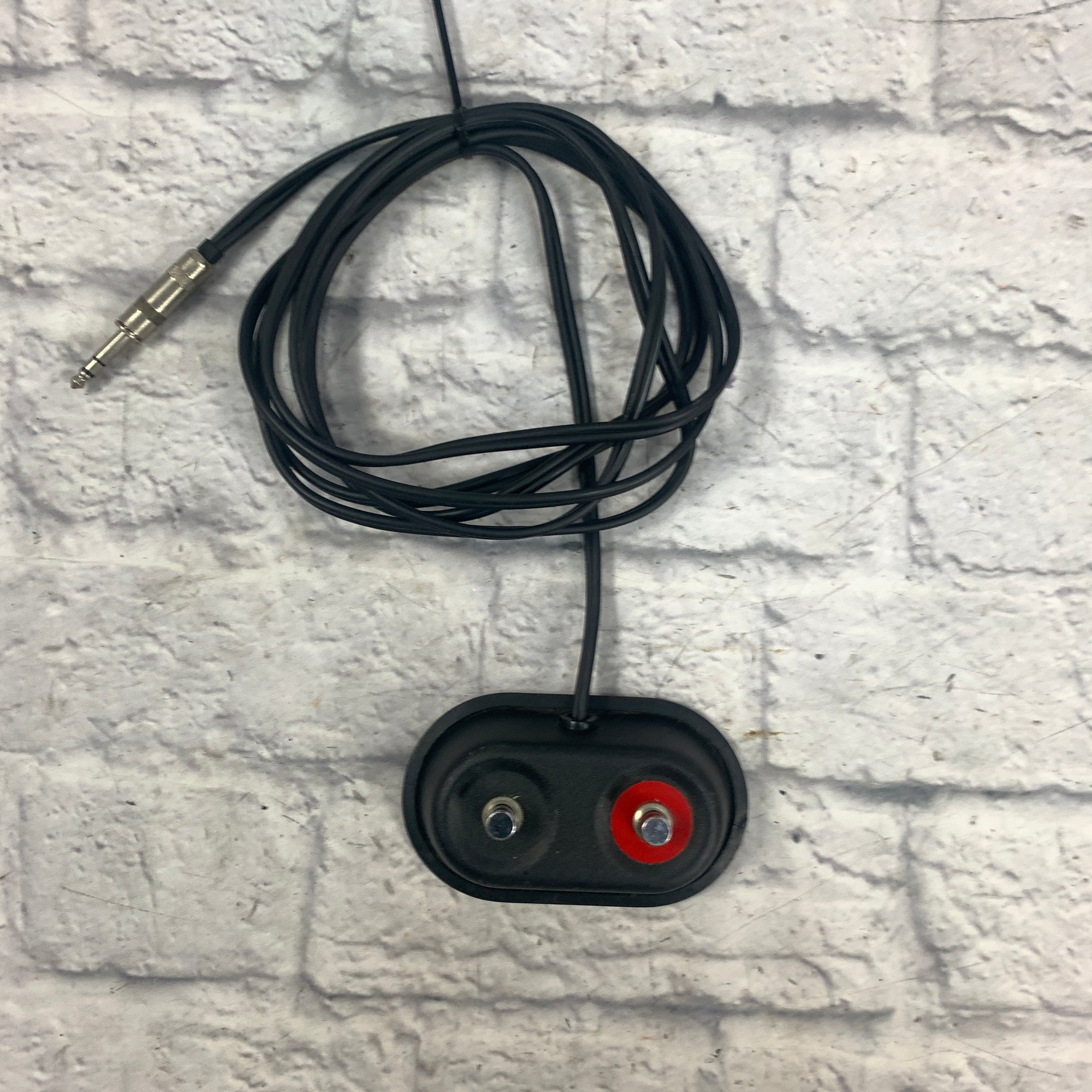 Roland 2 Button Foot Switch