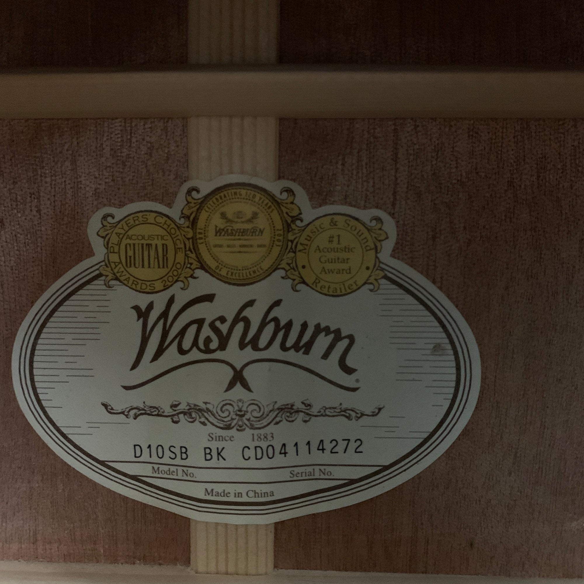 Washburn D10SB Acoustic Guitar with Case