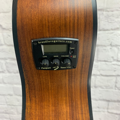 Breedlove Passport N250/Coe Acoustic